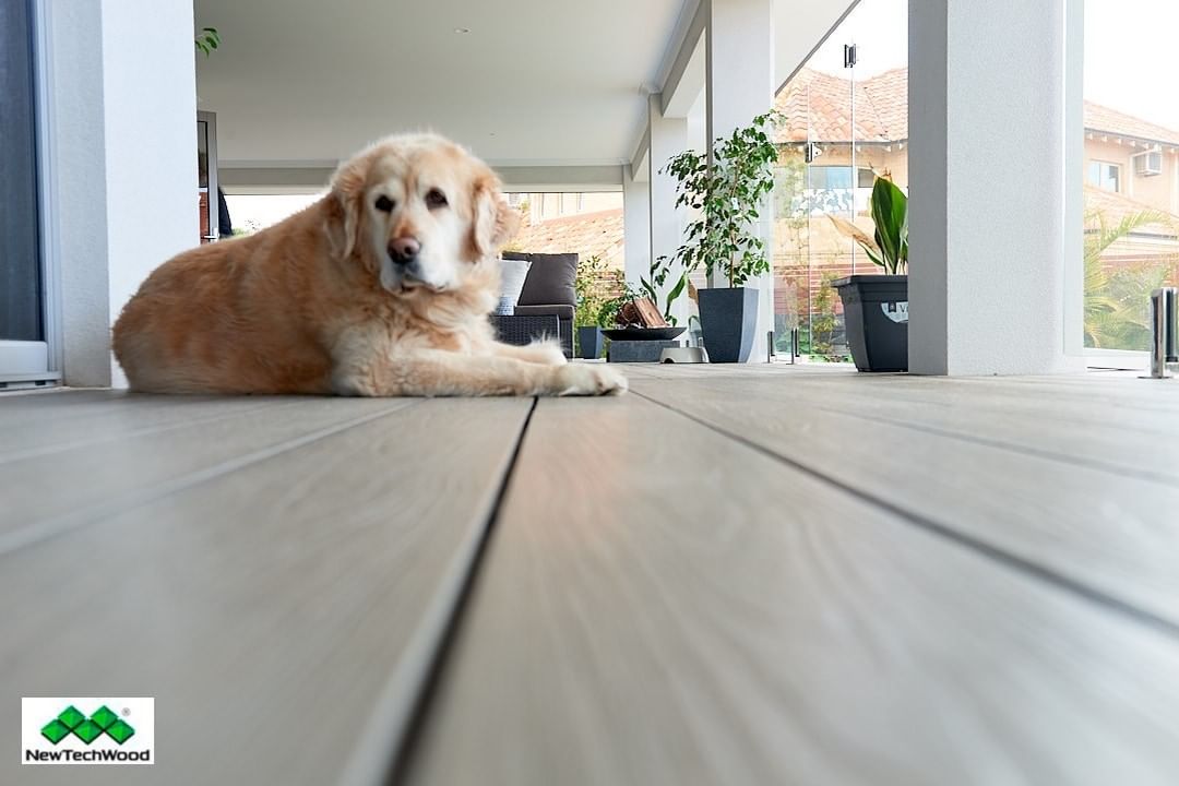safe composite patios for dogs with newtechwood canada